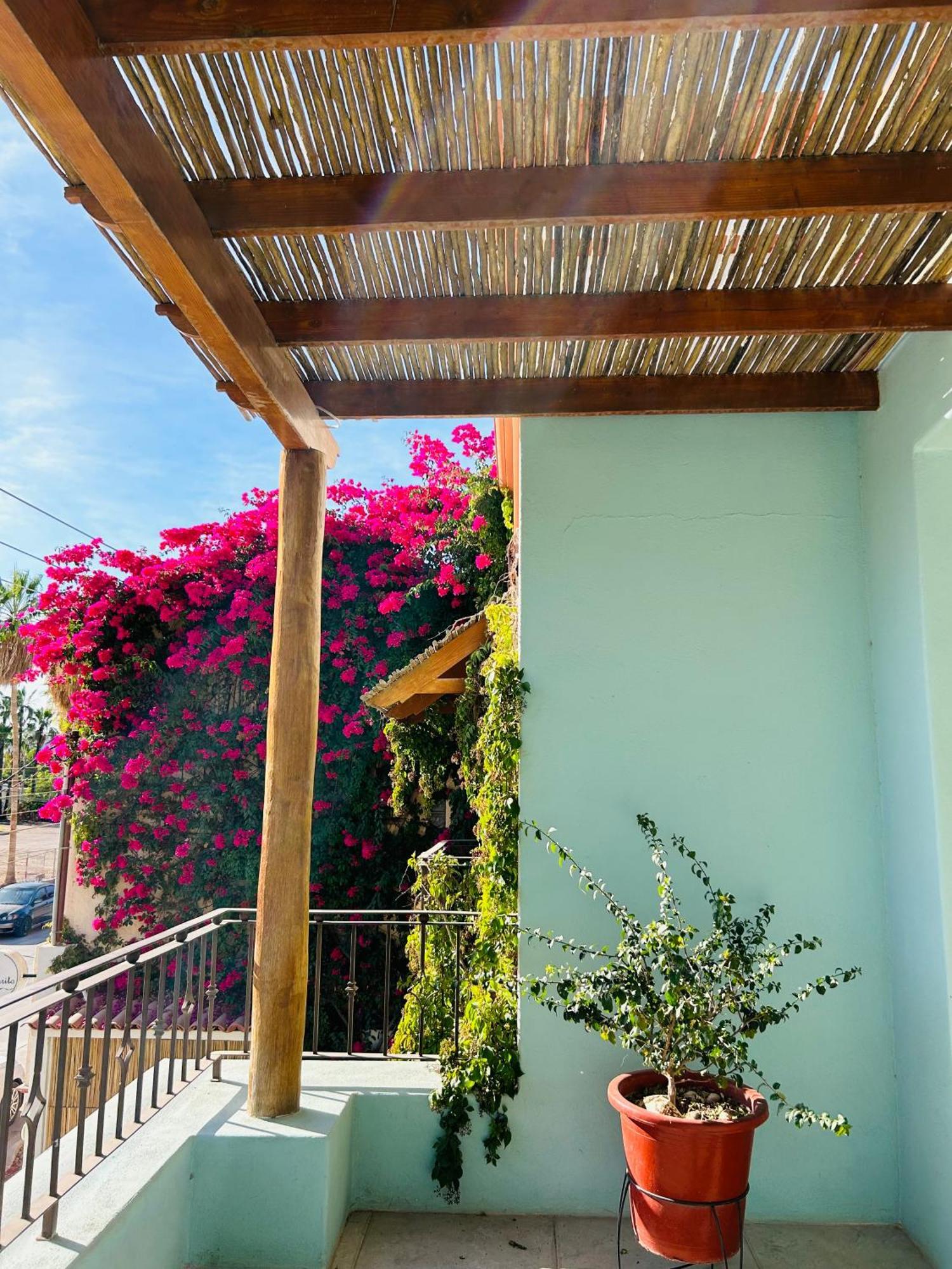 Rosarito Hotel Loreto  Dış mekan fotoğraf